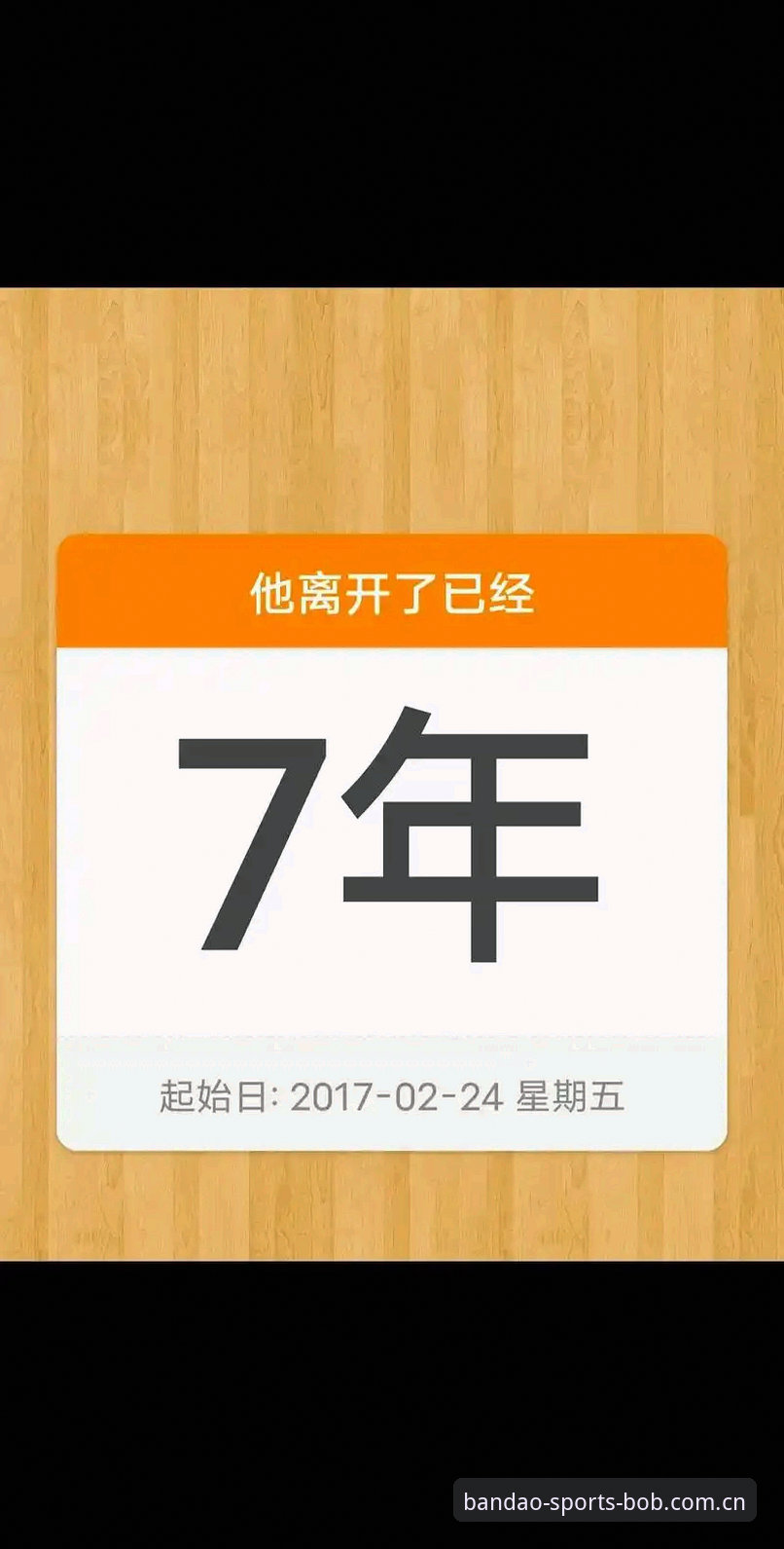 半岛体育官网新用户入门操作教程：从注册到体验2024新版功能